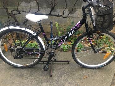 Polar Modesty 260 Crno Roze