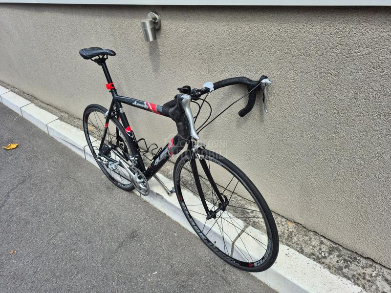 OLIMPIA arrow XL 10.5kg