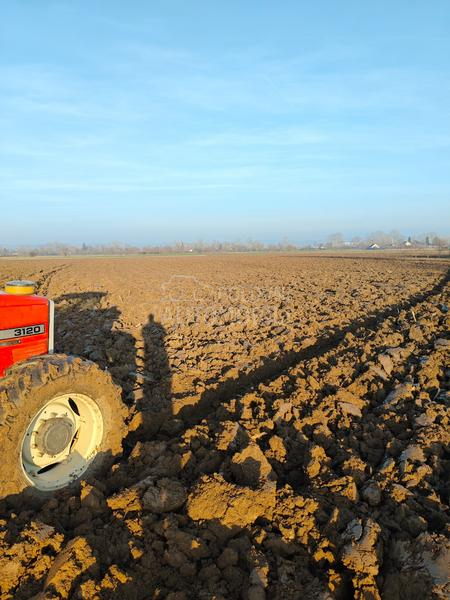 Massey Ferguson 3120