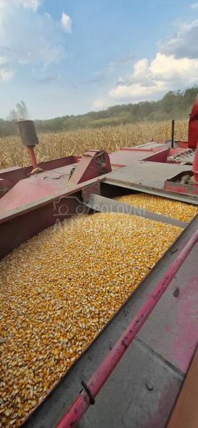 Zmaj 135 fabričko stanje