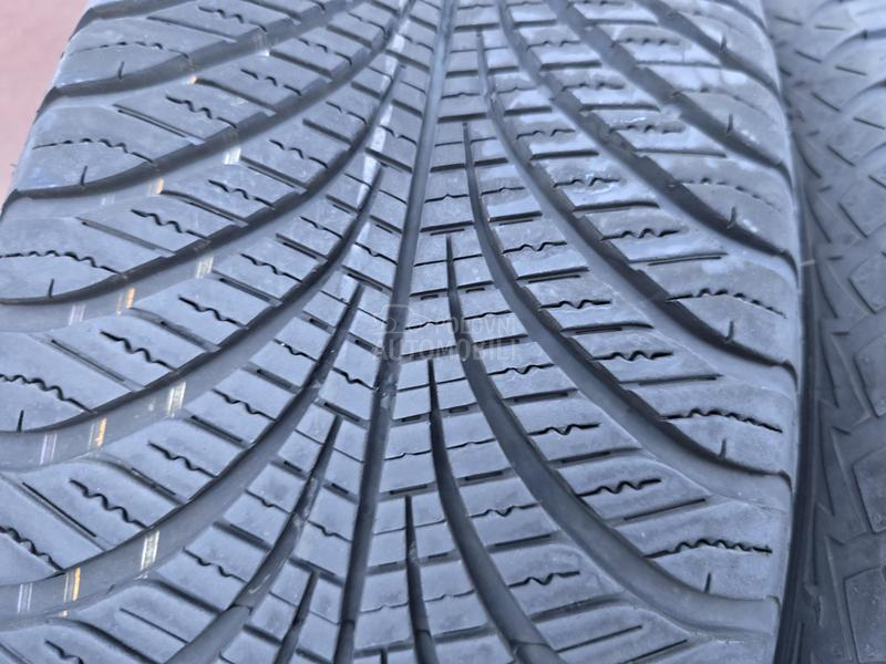 Goodyear 225/65 R17 Sve sezone
