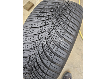Goodyear 205/55 R16 Zimska