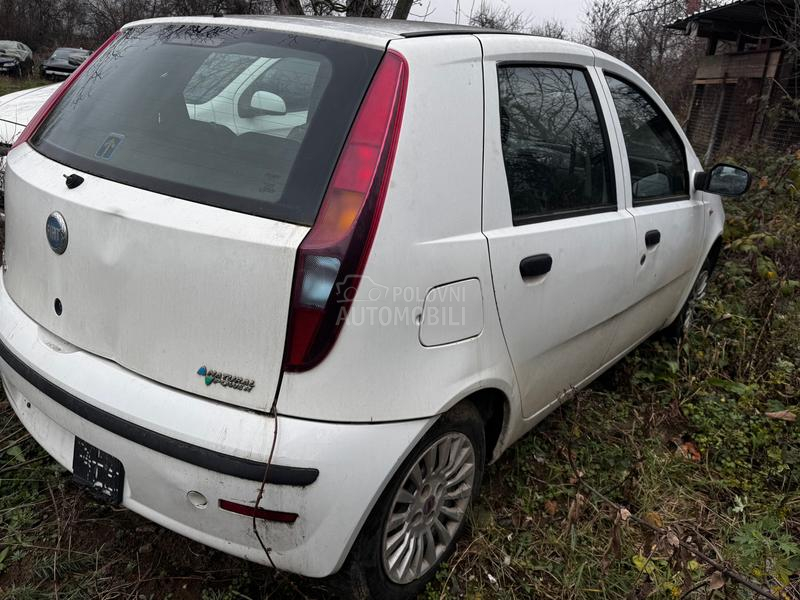 Fiat Punto 