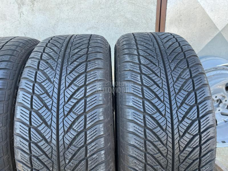Goodyear 255/50 R19 Zimska