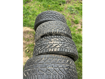 Riken 215/40 R17 Zimska