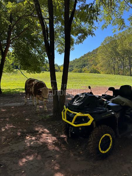 Can-Am Outlander 1000 MAX XTP