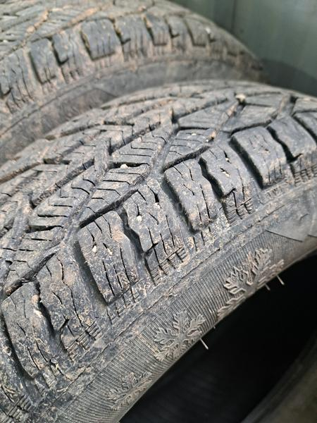 Orium 195/65 R15 Zimska