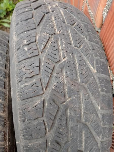 Apollo 195/65 R15 Zimska