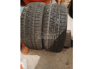 Sailun 225/50 R17 Zimska
