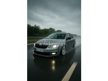 Škoda Octavia 1.6TDI DSG Kamera
