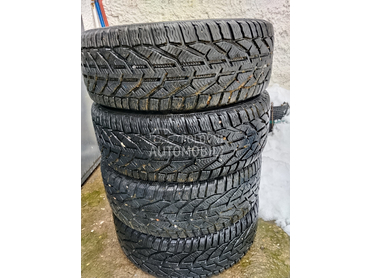 Riken 195/50 R15 Zimska