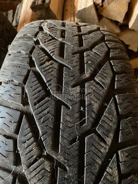 Riken 225/45 R17 Sve sezone