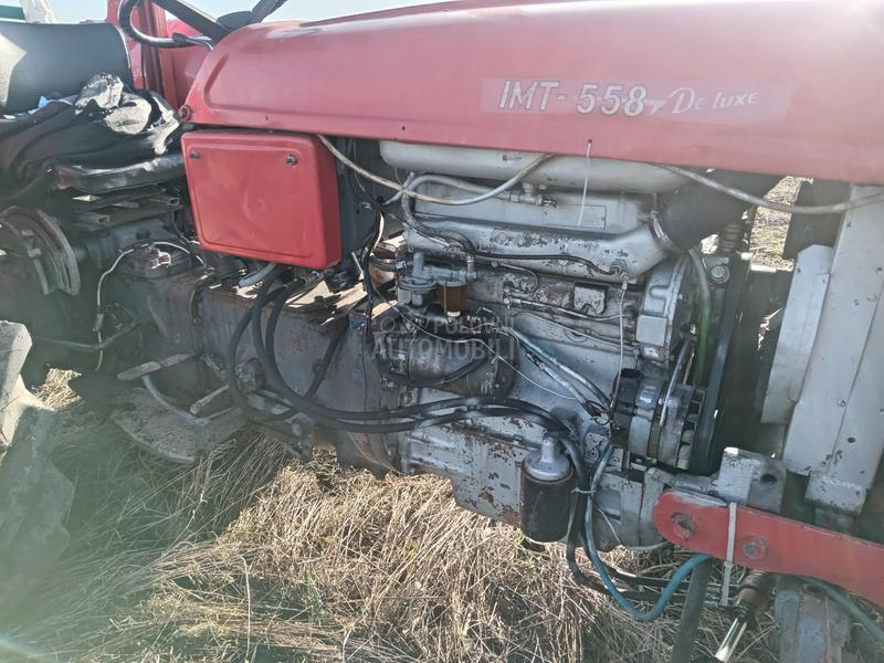 IMT 558