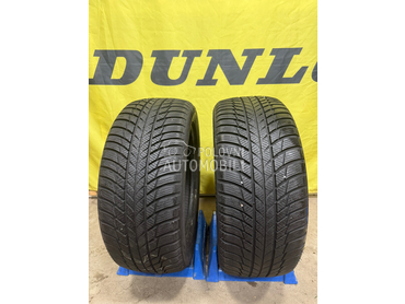 Bridgestone 225/50 R17 Zimska