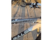 Bulls Bulls Copperhea 