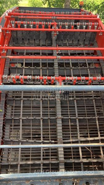 Dewulf Torro krompir