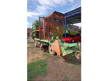 Guaresi Vadilica cvekla repa