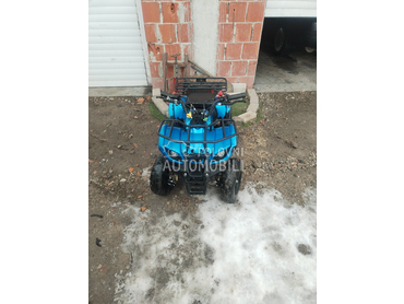 Arctic Cat Mini