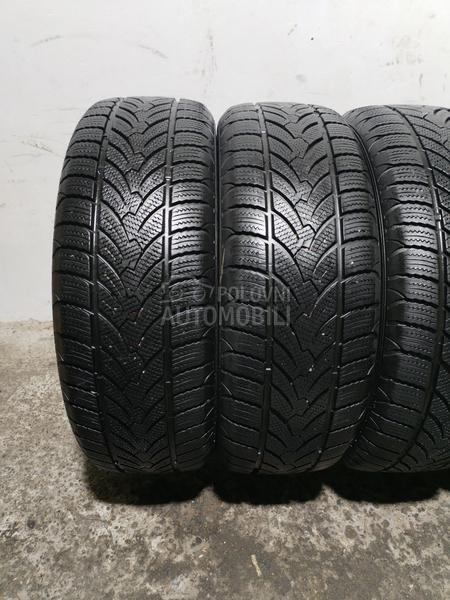 Platin Germany 215/60 R17 Zimska