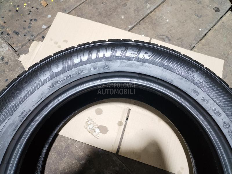Platin Germany 215/60 R17 Zimska