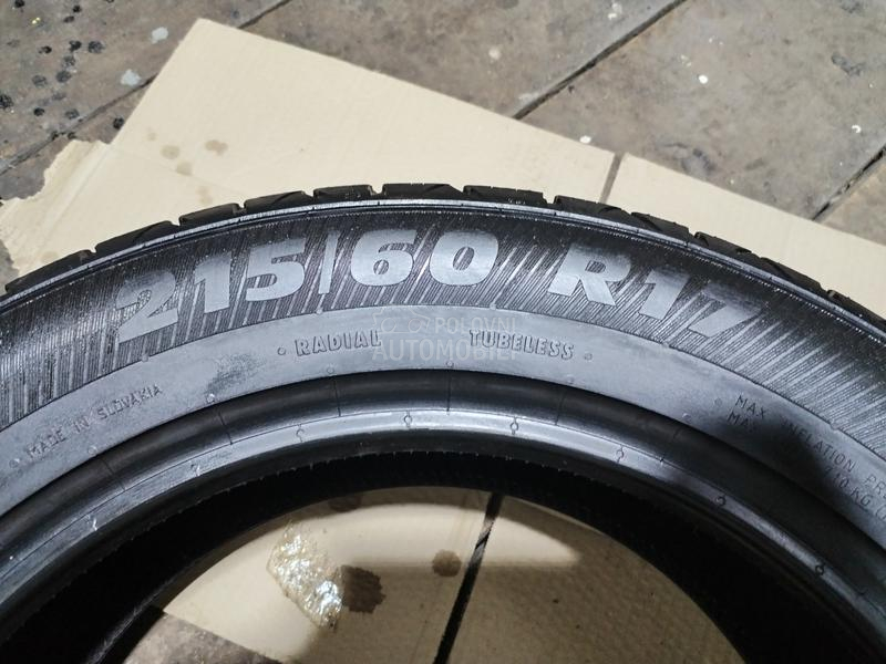 Platin Germany 215/60 R17 Zimska