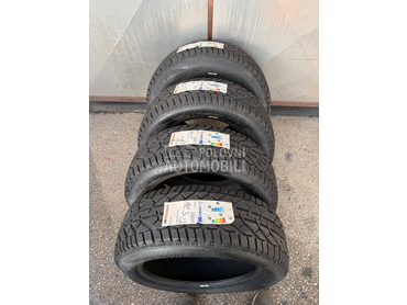 Taurus 225/55 R17 Zimska