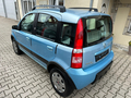 Fiat Panda 4x4 NEMA KLIMU