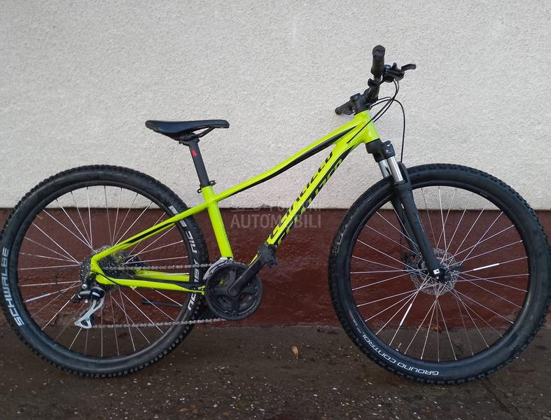 Specialized Specialized pich