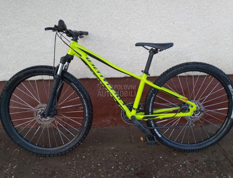 Specialized Specialized pich