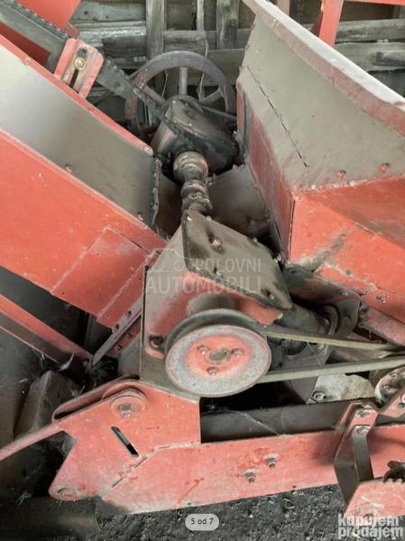 Zmaj dvoredni 222/223