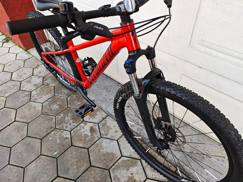 Specialized Specialized