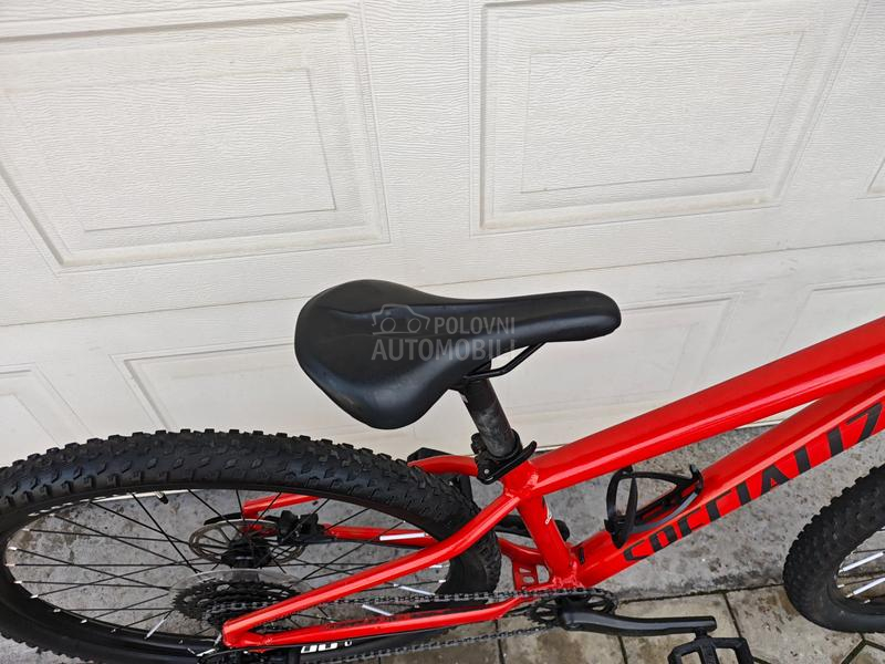 Specialized Specialized