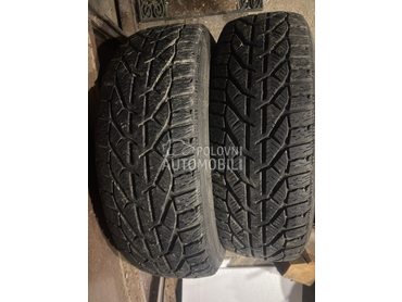 Riken 195/65 R15 Zimska