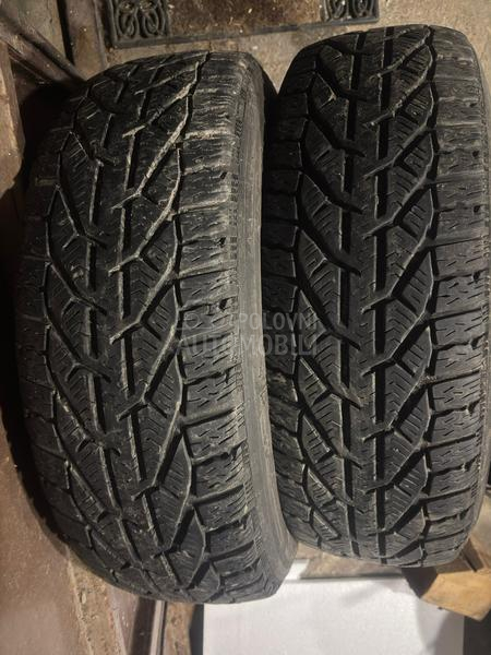 Riken 195/65 R15 Zimska