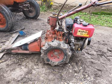 Muta Gorenje hitcena