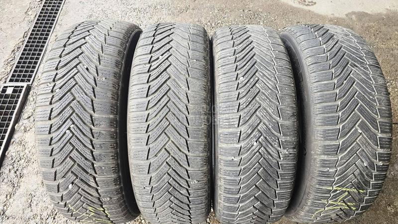 Michelin 225/55 R17 Zimska