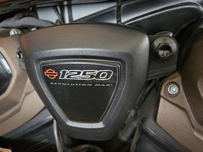 Harley Davidson Sportster Revolution 1250