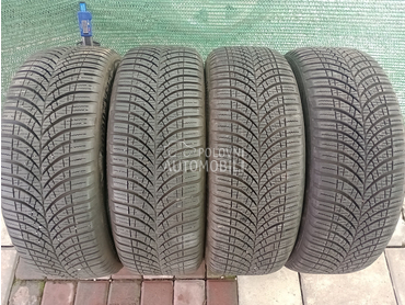 Goodyear 195/55 R16 Zimska