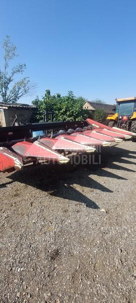 Capello Capelo i olimarc