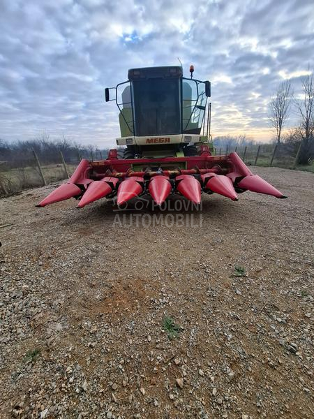 Capello Capelo i olimarc