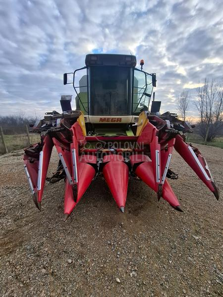 Capello Capelo i olimarc