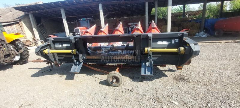 Capello Capelo i olimarc