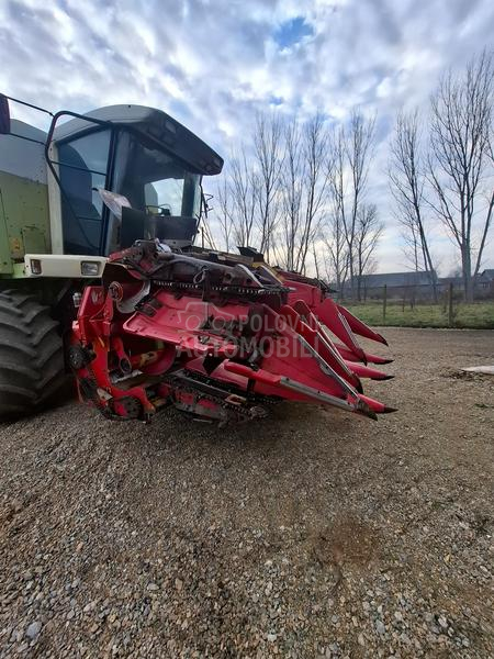 Capello Capelo i olimarc