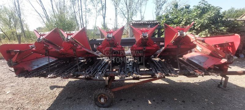 Capello Capelo i olimarc