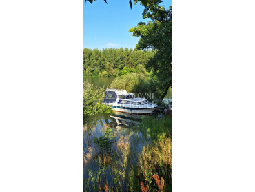 Elan Produženi elan