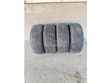 Nexen 255/55 R18 Zimska