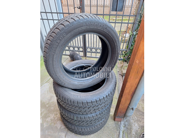 Continental 225/55 R17 Zimska