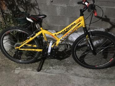 Capriolo Diavolo 240 Zuti