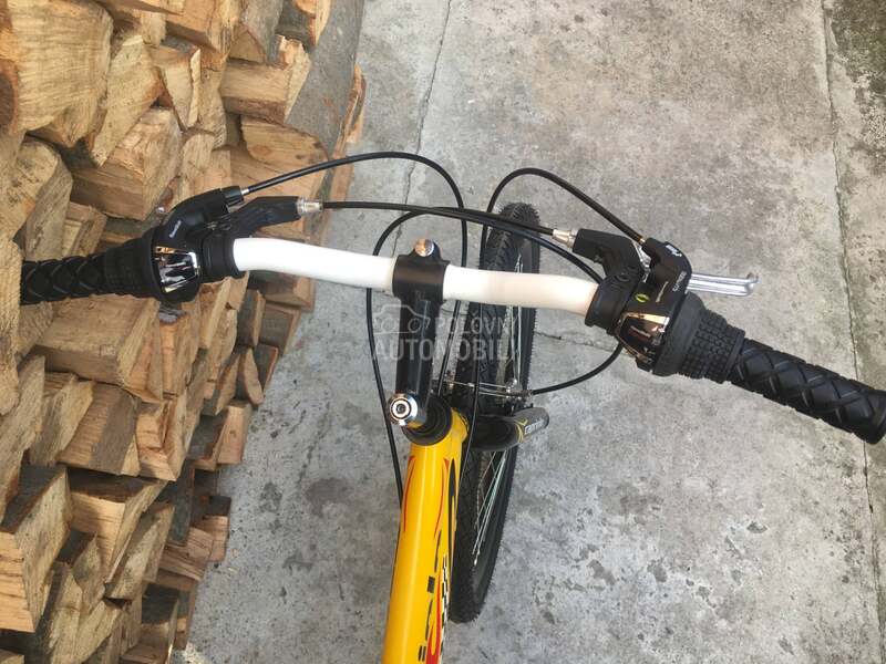 Capriolo Diavolo 240 Zuti