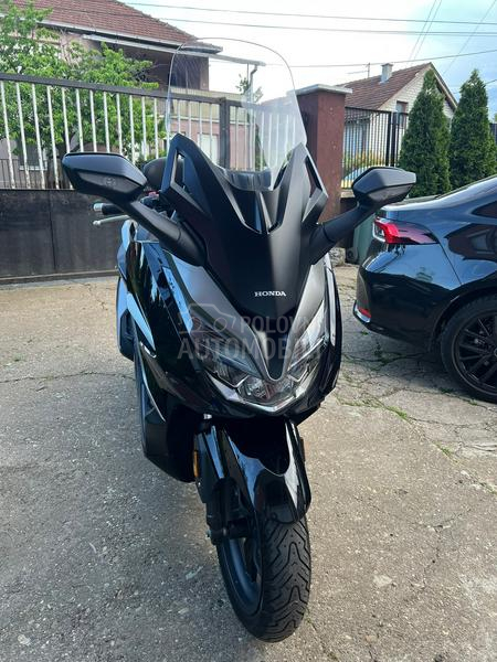 Honda forza FORZA